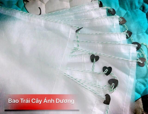 Túi bao Trái Xoài kích thước 22,5 x30 cm