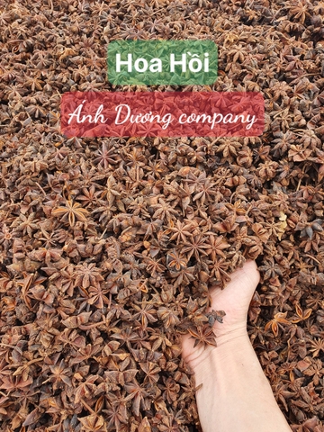 Hoa Hồi Khô Xuất Khẩu Loại 1