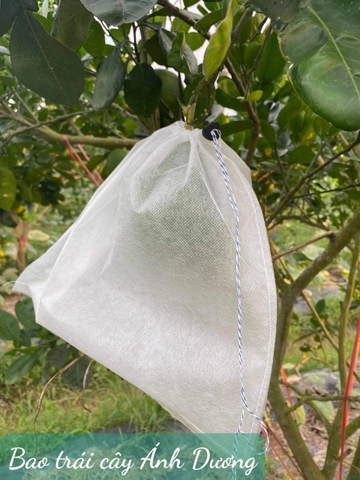 Túi Bao Trái Xoài Ánh Dương KT 22,5x30 cm