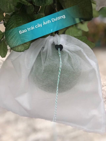 Túi Bao Trái Cây Ánh Dương KT 30x30,2cm