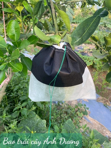 Túi Bao Trái Chống Cháy Nắng KT 30x30,2 cm