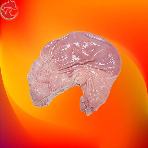 Bao tử heo
