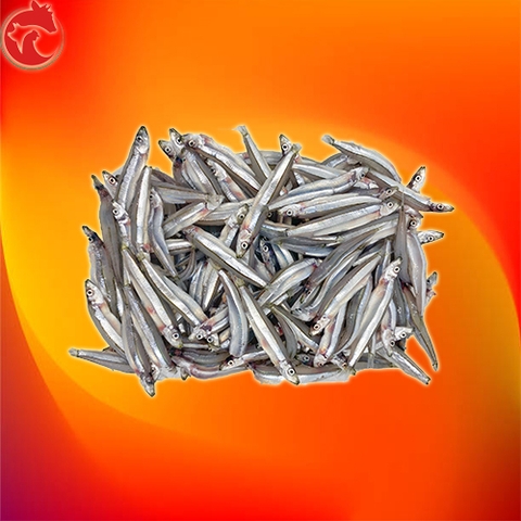 Cá Cơm Nguyên con