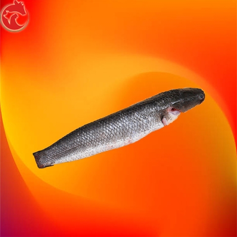 Cá Lóc Làm sạch