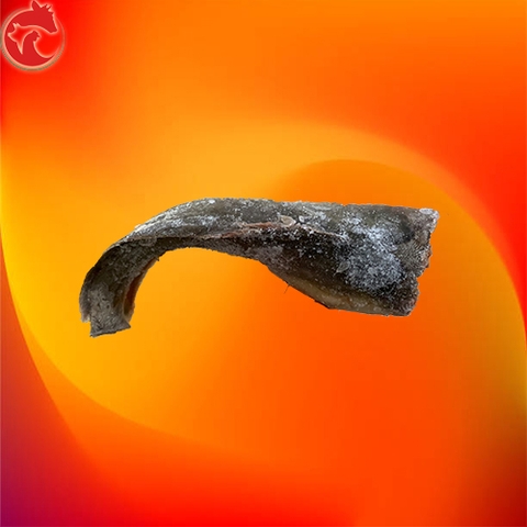 Cá Trê Cắt Đầu