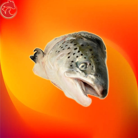 Đầu Cá Hồi