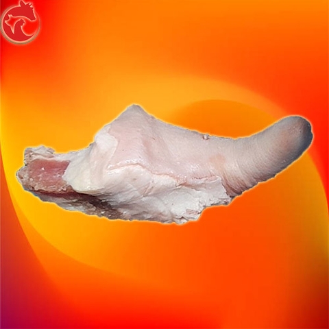 duoi-heo-dai-dong-lanh