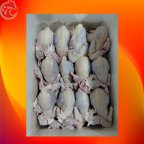 gà mái đẻ dai, ngon