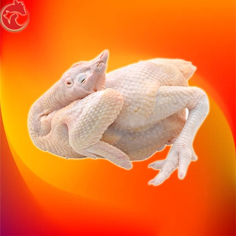 Ga-cong-nghiep-nguyen-con