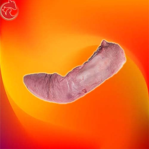 Lưỡi heo không cuống