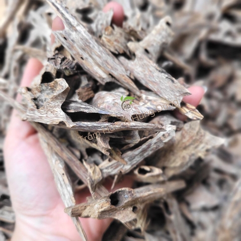 TRẦM MIẾNG TỰ NHIÊN - OUD CHIPS - HD07