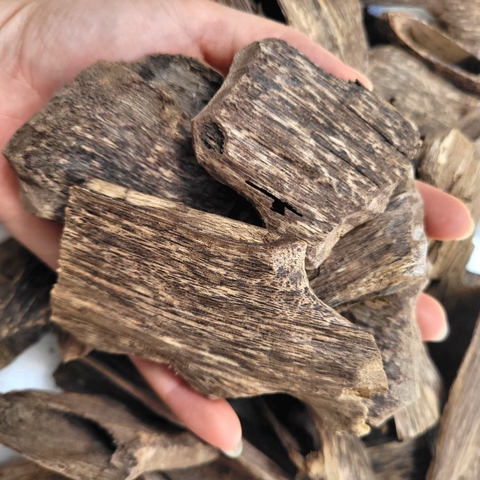 TRẦM HƯƠNG Ổ KHOAN - CANTIVATIVE AGARWOOD- HD01