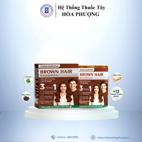 BROWN HAIR SHAMPOO 3 IN 1 (Hộp 10 gói)