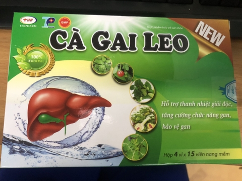 Giải độc gan, hạ men gan CÀ GAI LEO (SANTEX) hộp 1 lọ 60 viên