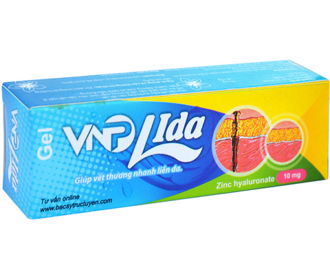 VNP Lida
