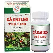 CÀ GAI LEO TUỆ LINH - HỖ TRỢ ĐIỀU TRỊ CÁC BỆNH VỀ GAN