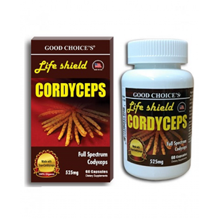 ĐÔNG TRÙNG HẠ THẢO Life Shield Cordyceps