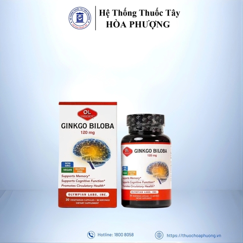 GINKGO BILOBA 120MG - BỔ NÃO