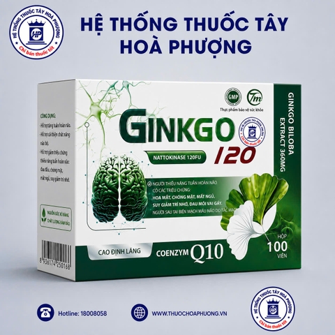 Ginkgo 120 hộp 10 vỉ x 10 viên
