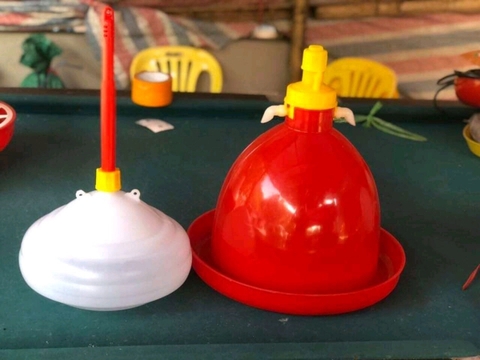 máng nước tự động cho gà