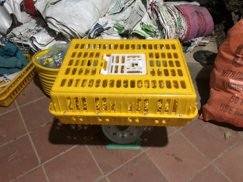 lồng bắt gà