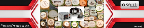 [B1-003] Tăng độ nhận diện thương hiệu với In Logo lên trái dừa tươi Việt Nam
