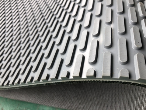 BĂNG TẢI HẠT DƯA