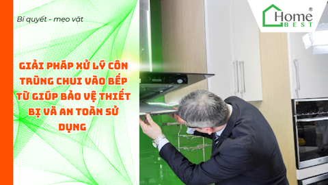 Giải pháp xử lý côn trùng chui vào bếp từ giúp bảo vệ thiết bị và an toàn sử dụng