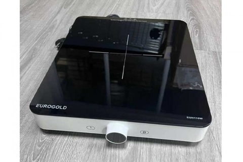 Bếp từ đơn Eurogold EUH110W