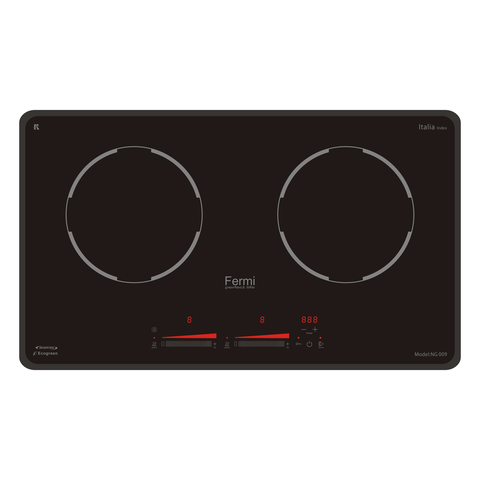 Bếp từ đôi Fermi NG 009 PLATINUM