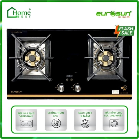 Bếp gas âm Eurosun EU-GA291D
