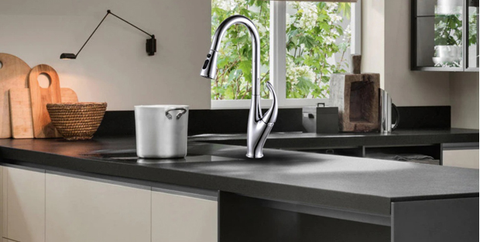 Vòi rửa chén nóng lạnh Pramie - PRV 068