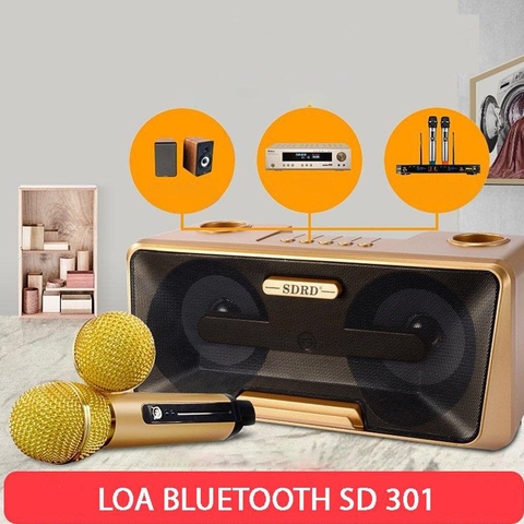 Loa Karaoke Bluetooth SD-301