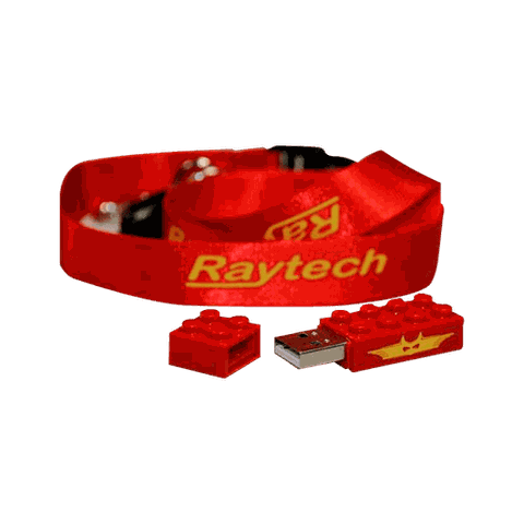 Đo điện trở một chiều 15A 2 kênh RAYTECH WR14 (100 kΩ)