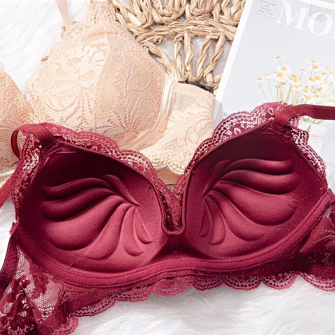 Áo ngực ren không gọng