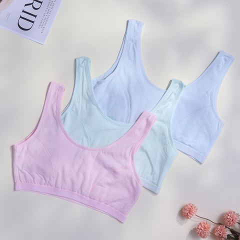 Áo lá học sinh màu - gg 50k