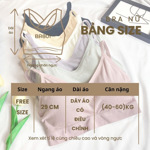 Bra trơn co giãn 4 chiều