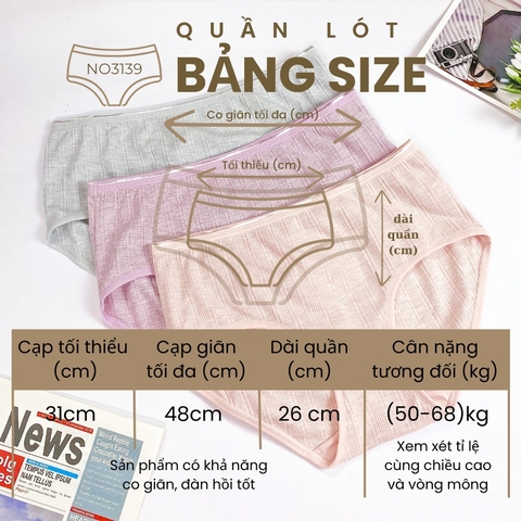 Quần Lót Nữ Mỏng Nhẹ Siêu Co Giãn Lót Đũng Cotton Kháng Khuẩn NO3139