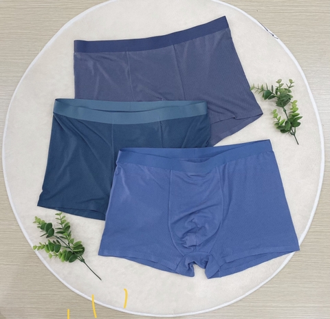 SỊP ĐÙI MODAL THÔNG HƠI CAO CẤP