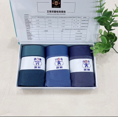 SỊP ĐÙI MODAL THÔNG HƠI CAO CẤP