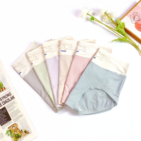 QUẦN LÓT COTTON MODAL CẠP CAO CẠP CHỮ NICE