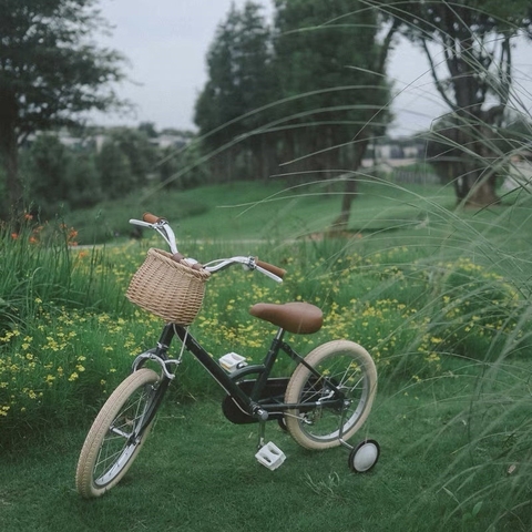 Xe đạp trẻ em 4 bánh cao cấp | Children's Bike