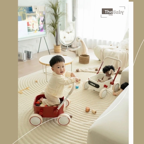 Xe đẩy đa năng Pula cao cấp cho bé | Pula Cart