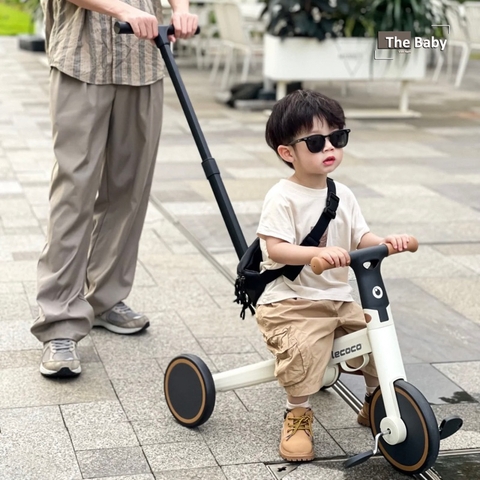 Xe chòi chân Teni gấp gọn cao cấp / Teni Walker