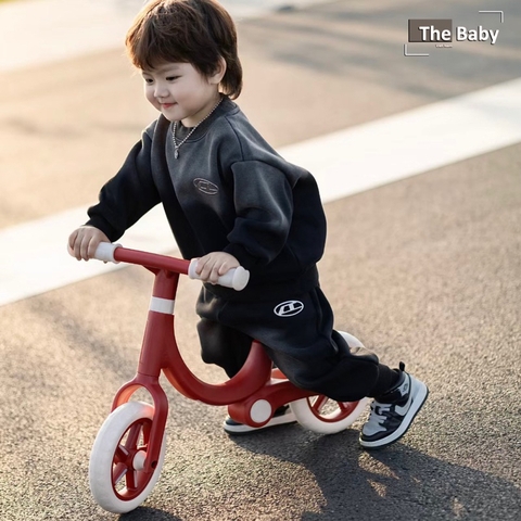 Xe thăng bằng MLOONG nhập khẩu cao cấp / MLOONG Walker