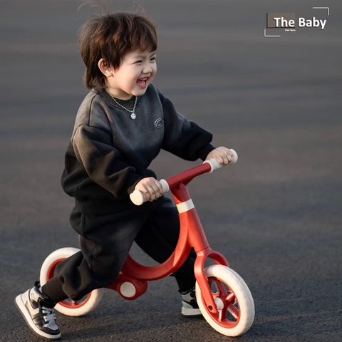 Xe thăng bằng MLOONG nhập khẩu cao cấp / MLOONG Walker