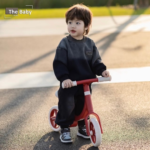 Xe thăng bằng MLOONG nhập khẩu cao cấp / MLOONG Walker