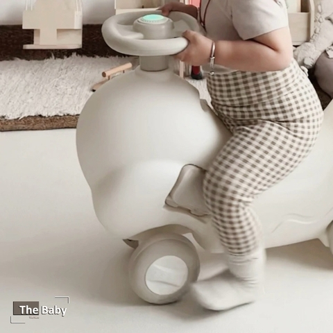 Bộ xe trẻ em Baby nhập khẩu cao cấp / Baby Car