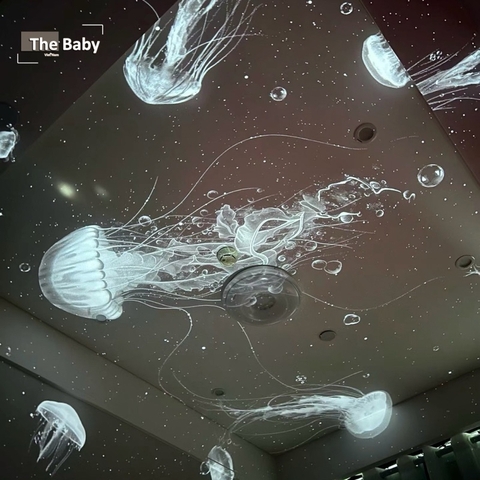 Đèn chiếu Pococo Ocean nhập khẩu cao cấp / Pococo Ocean Lamp