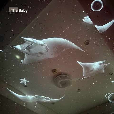 Đèn chiếu Pococo Ocean nhập khẩu cao cấp / Pococo Ocean Lamp